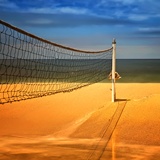 dailyPhoto8