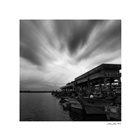 dailyPhoto10