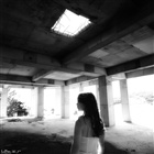 dailyPhoto39