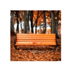 dailyPhoto9