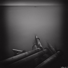 dailyPhoto35