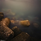 dailyPhoto10