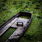 dailyPhoto3
