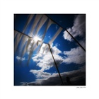 dailyPhoto24