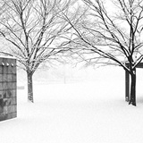 dailyPhoto30