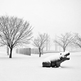 dailyPhoto39