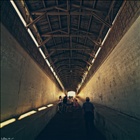 dailyPhoto11