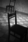 dailyPhoto23