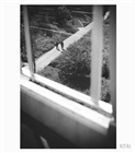 dailyPhoto13