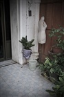dailyPhoto2
