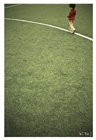 dailyPhoto9