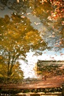 dailyPhoto34