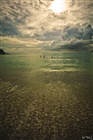 dailyPhoto11
