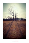 dailyPhoto16
