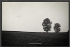dailyPhoto30