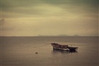 dailyPhoto15