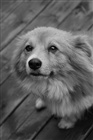 dailyPhoto7
