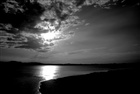 dailyPhoto37