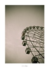 dailyPhoto22