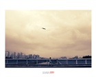 dailyPhoto40