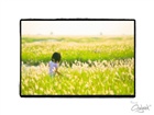 dailyPhoto1