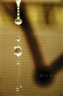 dailyPhoto10