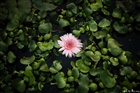 dailyPhoto37