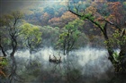 dailyPhoto9