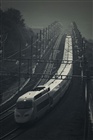 dailyPhoto23