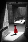 dailyPhoto5