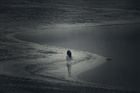 dailyPhoto17