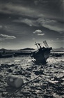 dailyPhoto32