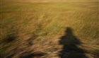 dailyPhoto20
