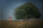 dailyPhoto24