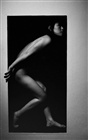 dailyPhoto7