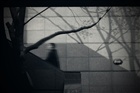 dailyPhoto36