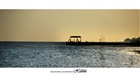 dailyPhoto3