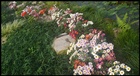 dailyPhoto32