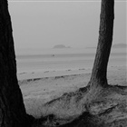 dailyPhoto4
