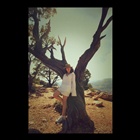 dailyPhoto4