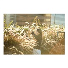 dailyPhoto10