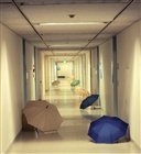 dailyPhoto10