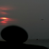 dailyPhoto11