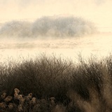 dailyPhoto7