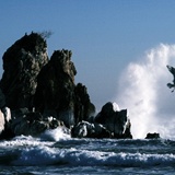 dailyPhoto1