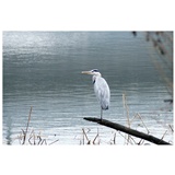 dailyPhoto8
