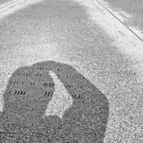 dailyPhoto40