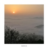 dailyPhoto7