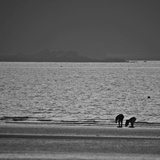 dailyPhoto30