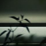 dailyPhoto17